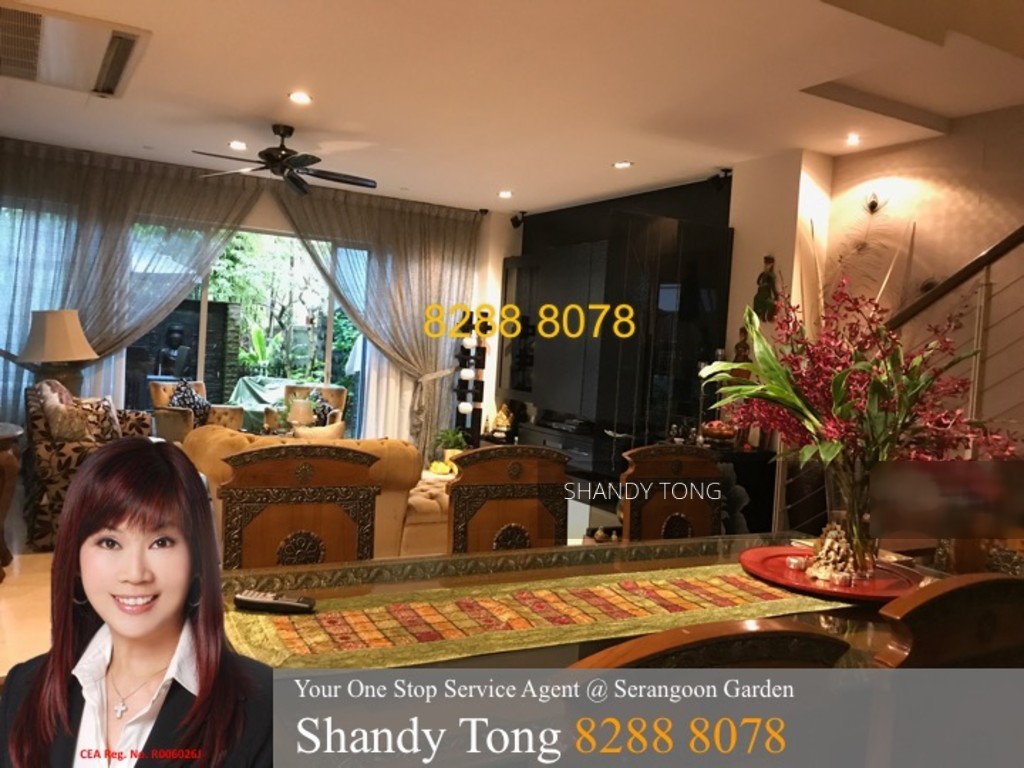 Lilac Road thumbnail photo